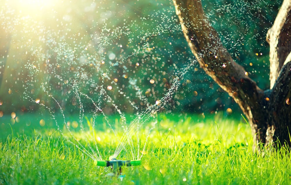 Yard Sprinkler Systems Reasons Now Is The Time To Cease